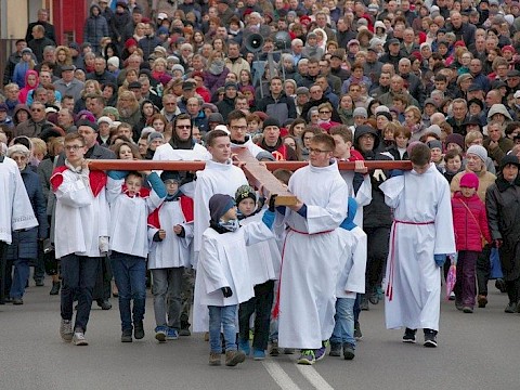 Zdjęcie 31 z 38