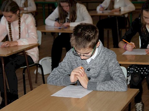 Zdjęcie 11 z 82