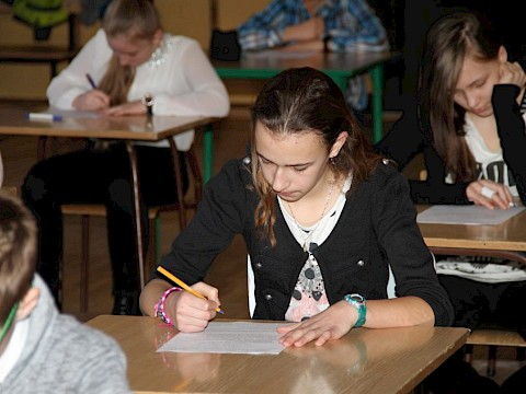 Zdjęcie 12 z 82