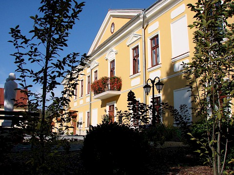 Zdjęcie 49 z 65