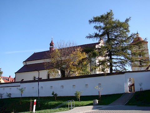 Zdjęcie 59 z 65