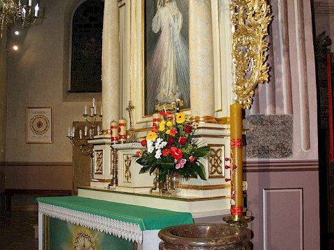 Zdjęcie 30 z 65