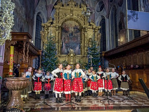Zdjęcie 10 z 35