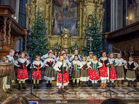 Zdjęcie 14 z 35