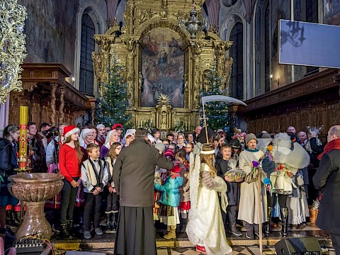Zdjęcie 28 z 35