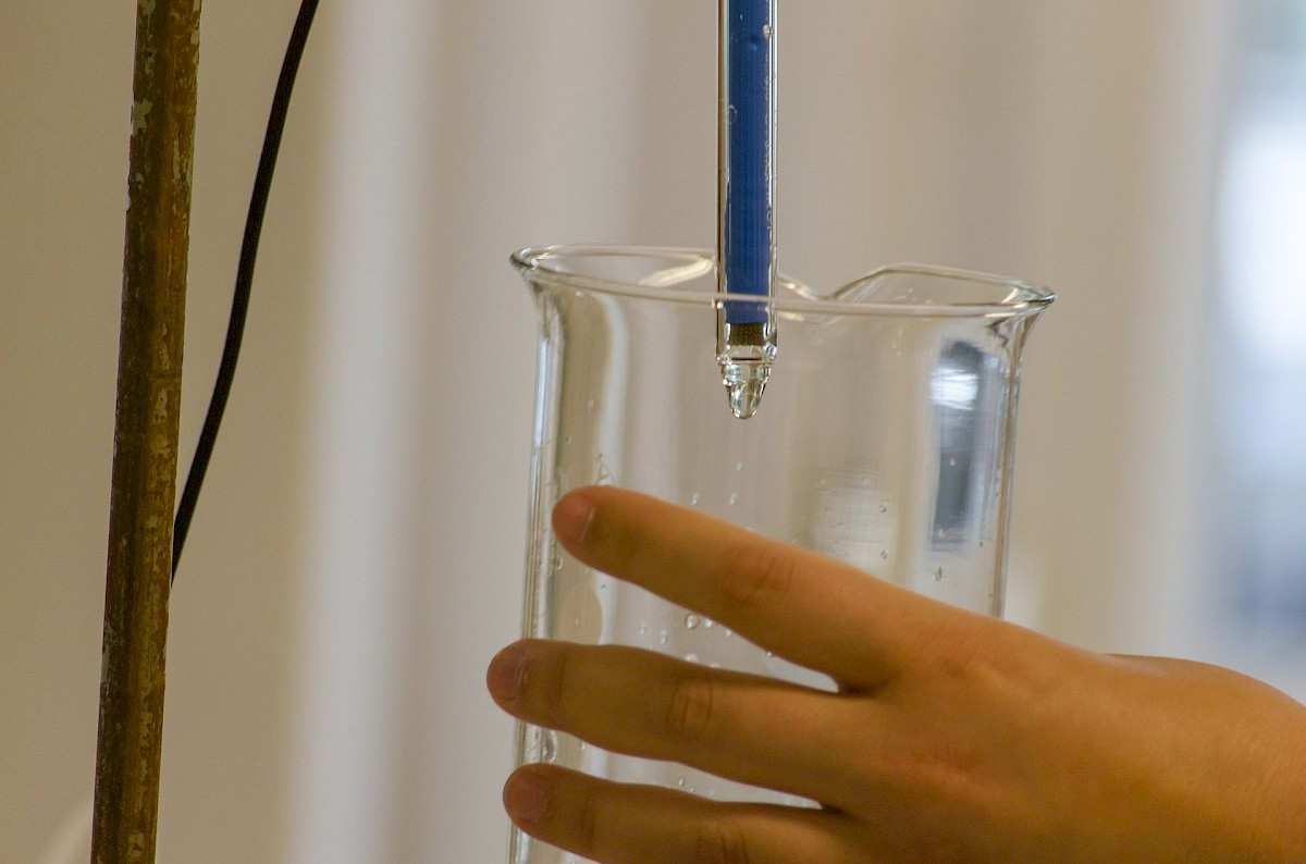 in-vitro